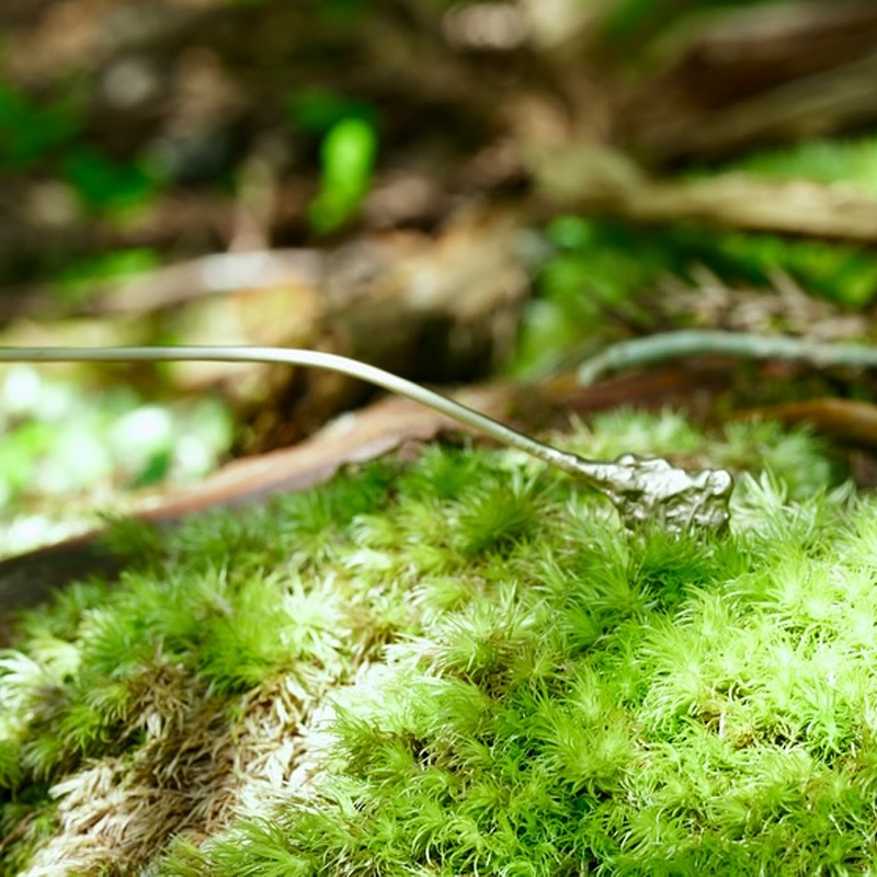 ウンスイキョウのイメージ画像