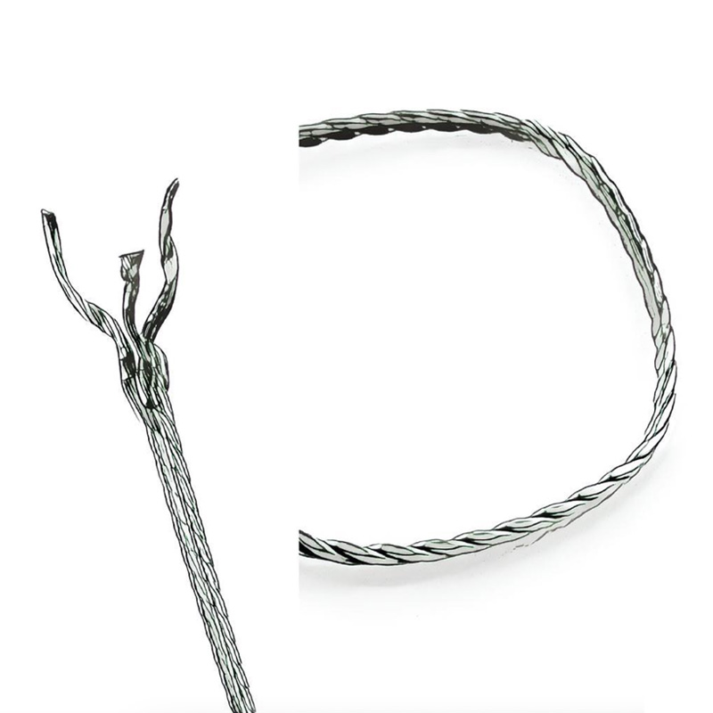 ヴィオルーのイメージ画像